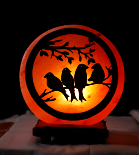 5kg Round Wooden Birds Shaped Himalayan Salt Lamp - Marble Base (12V)