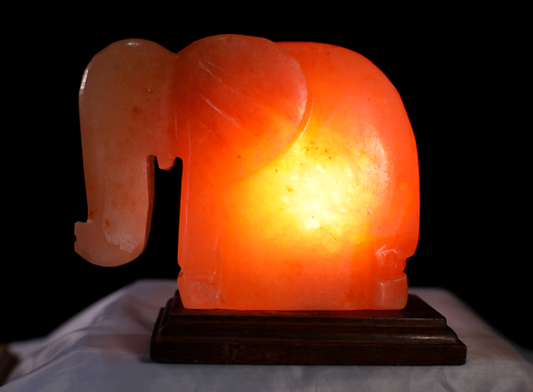 4kg Elephant Shaped Himalayan Salt Lamp - Marble Base (12V)